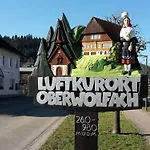 Apartment Muehlengruen *