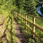 Muehlengruen * Oberwolfach