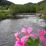 Muehlengruen