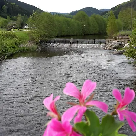 Muehlengruen Appartement *