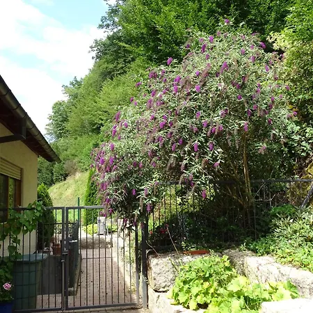 Appartement Muehlengruen