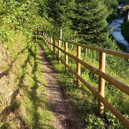 Muehlengruen * Oberwolfach